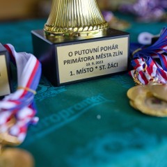 Sportovní úspěchy našich žáků