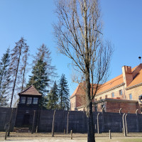 Exkurze do Osvětimi